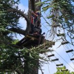 WhatsApp Image 2023-12-11 at 07.24.59